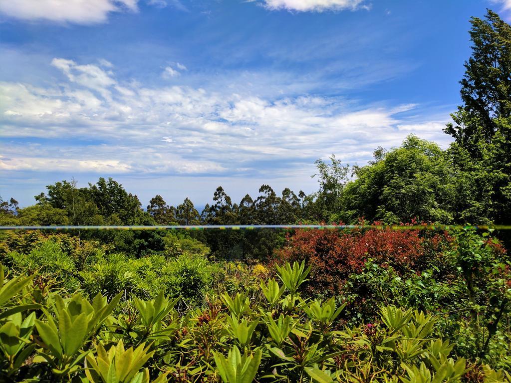 Annie Roes Luxury B&B Bend of Islands Luaran gambar